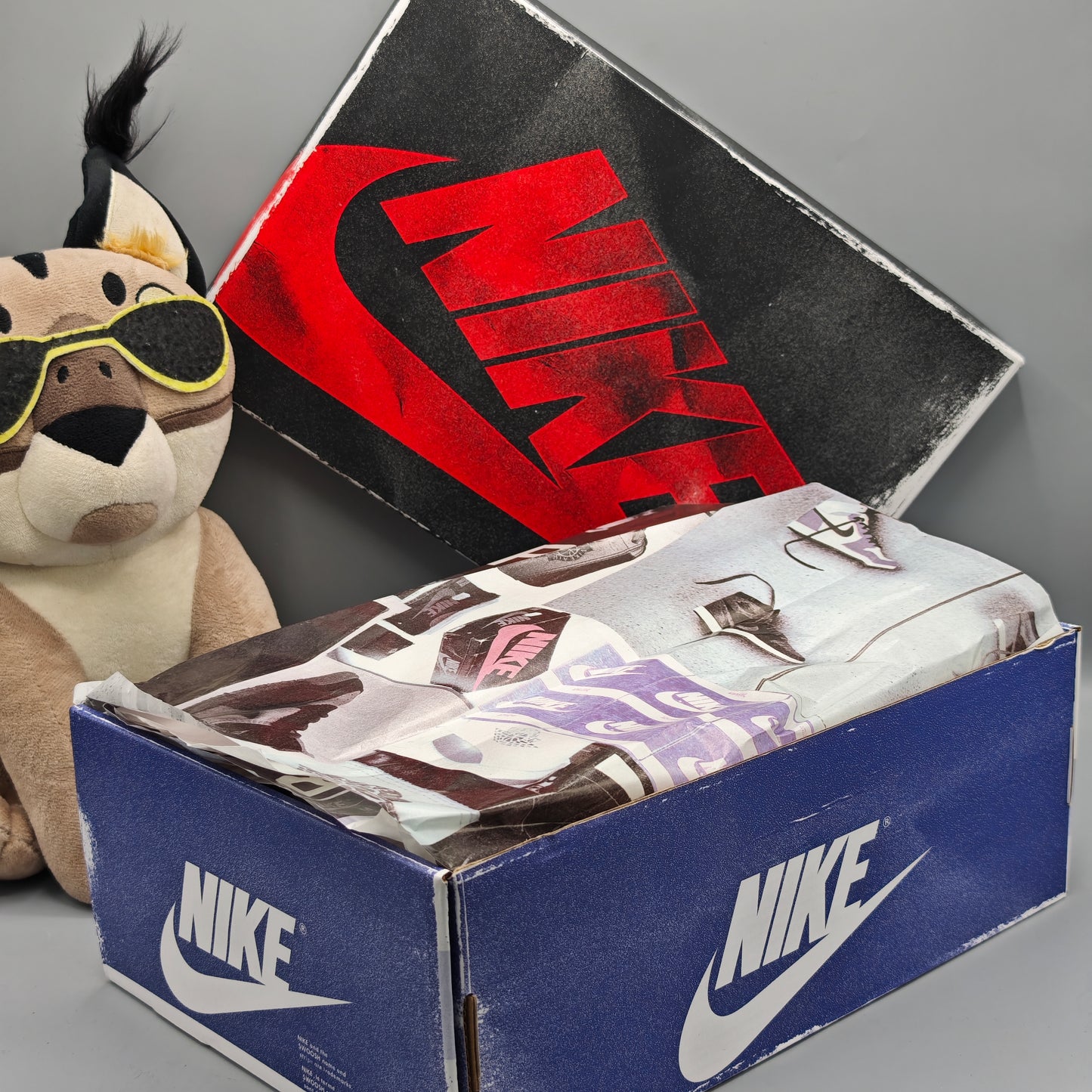 Nike Air Jordan 1 Retro High Rare Air