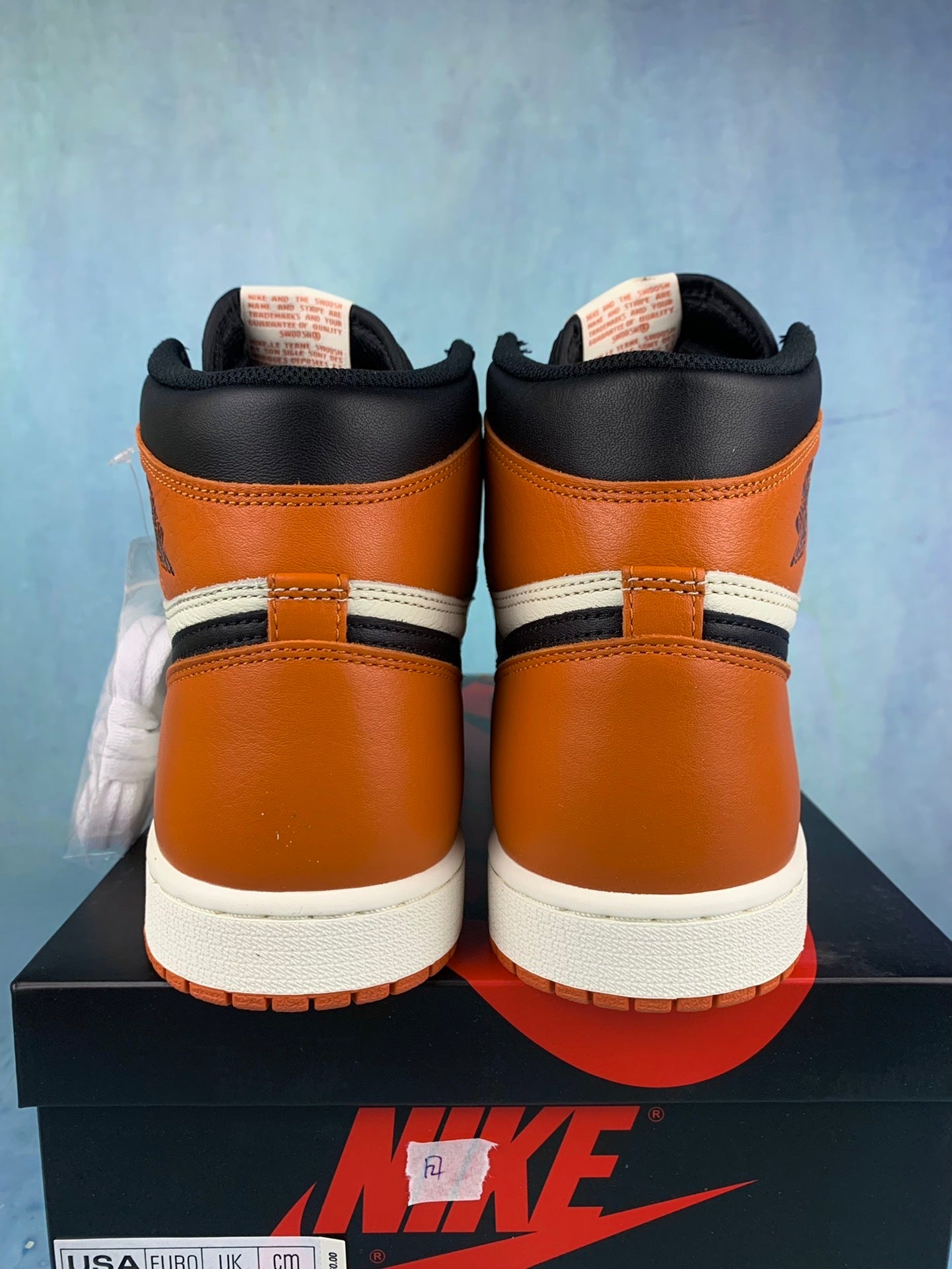 Air Jordan 1 Retro High Shattered Backboard
